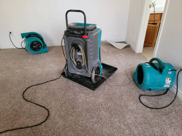 Best Water damage restoration insurance claims  in Indian Mountain Lake, PA