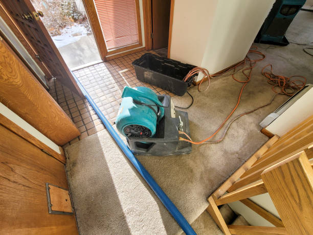 Best Fire Damage Restoration  in Indian Mountain Lake, PA