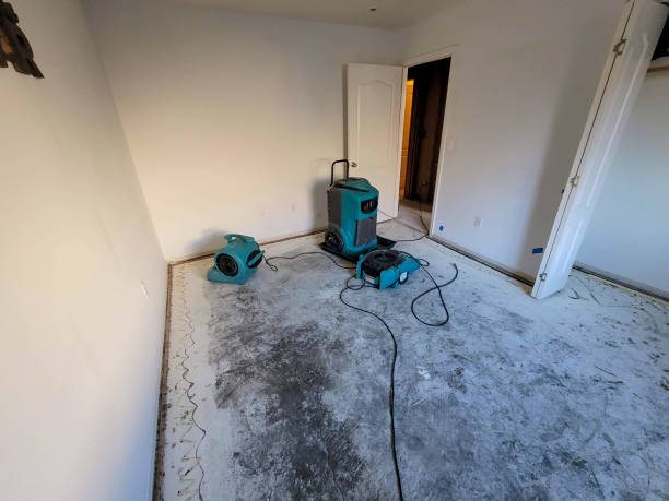 Best Flood restoration services  in Indian Mountain Lake, PA