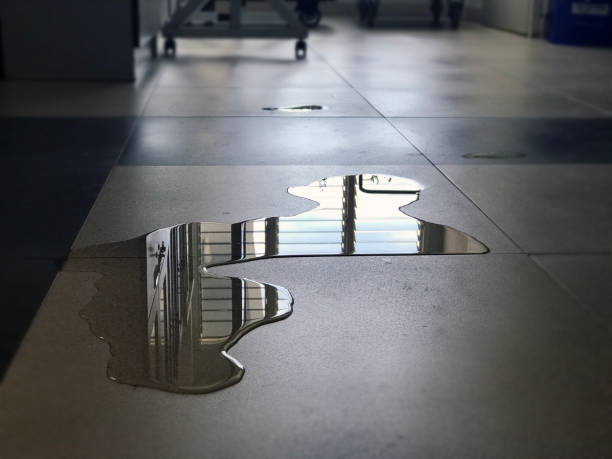 Best Local water damage restoration  in Indian Mountain Lake, PA