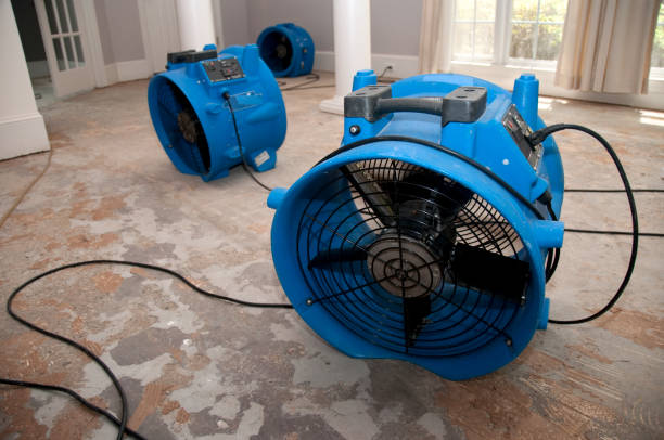 Best Sewage cleanup and water damage restoration  in Indian Mountain Lake, PA