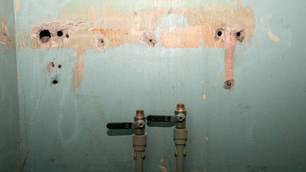 Best Basement water damage restoration  in Indian Mountain Lake, PA