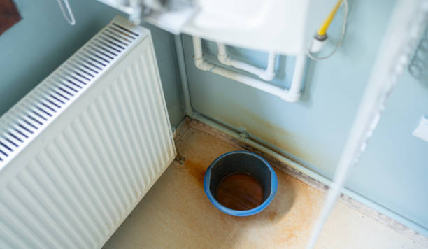 Best Mold removal after water damage  in Indian Mountain Lake, PA