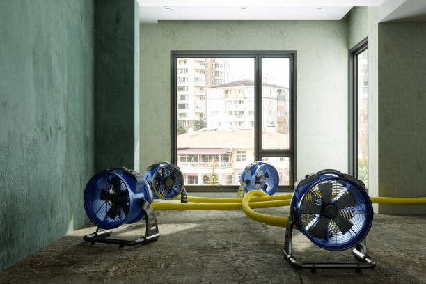 Best Carpet water damage restoration  in Indian Mountain Lake, PA